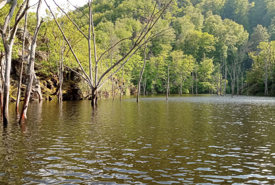Lac de barrage des Fades